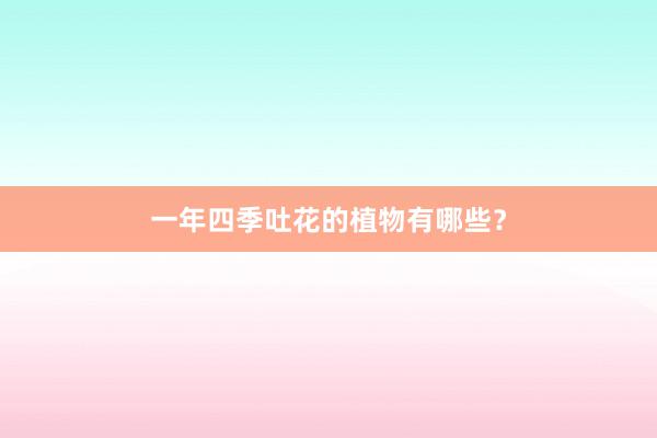 一年四季吐花的植物有哪些？