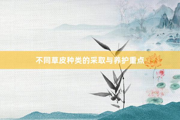 不同草皮种类的采取与养护重点
